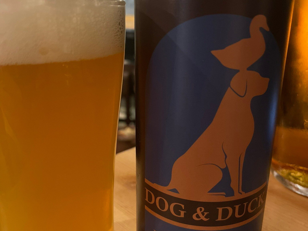 The Dog & Duck景点图片