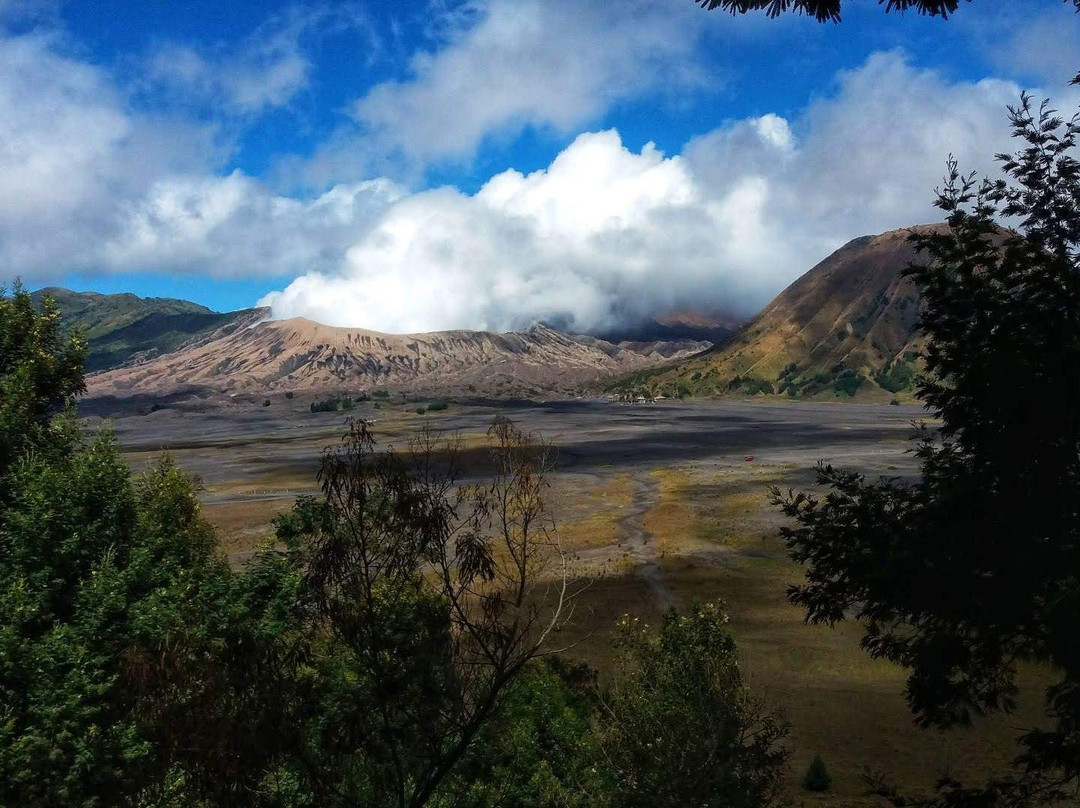 Indoasiatrip