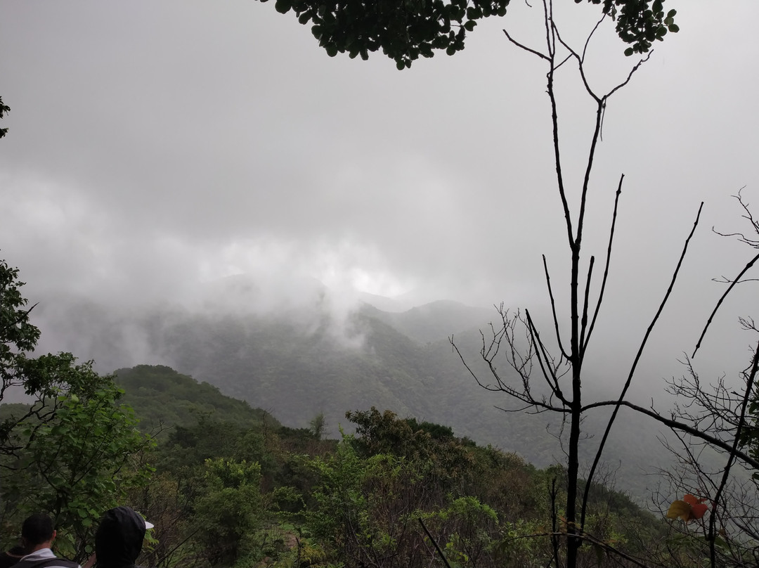 Jamboti Hills景点图片