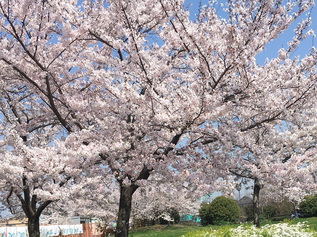 高石市旅游攻略图片