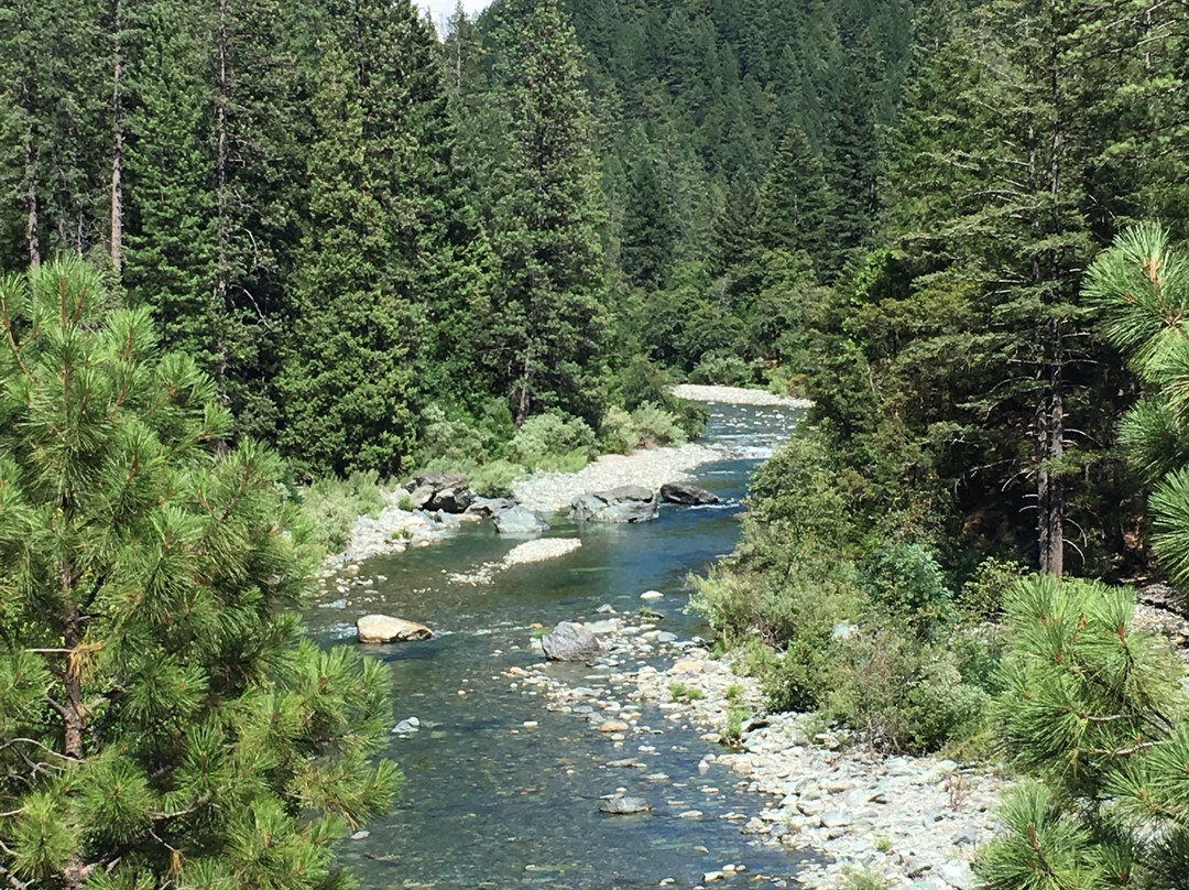 Downieville旅游攻略图片