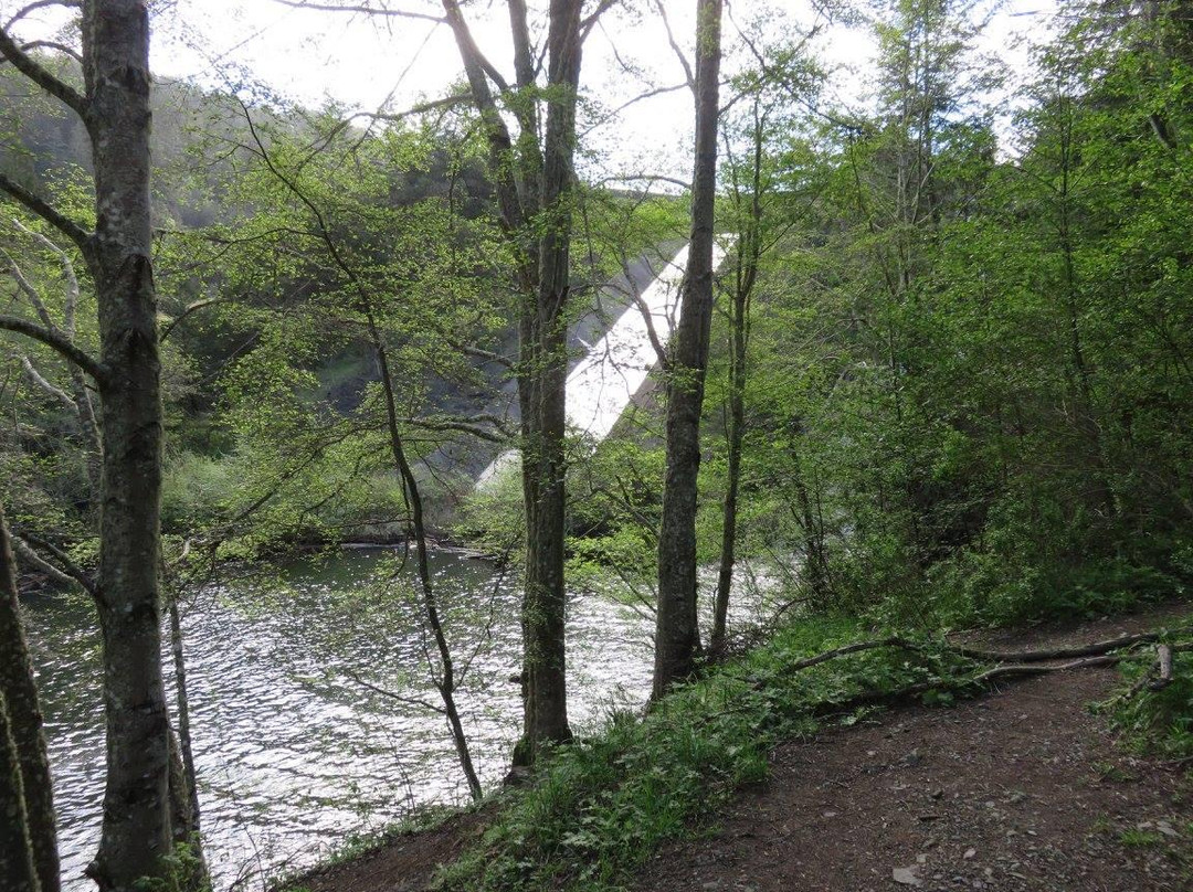 Lagunitas旅游攻略图片