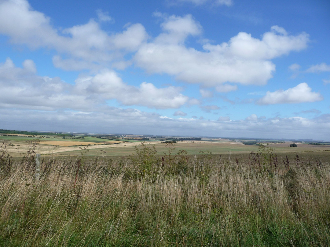Salisbury Plain Safaris景点图片