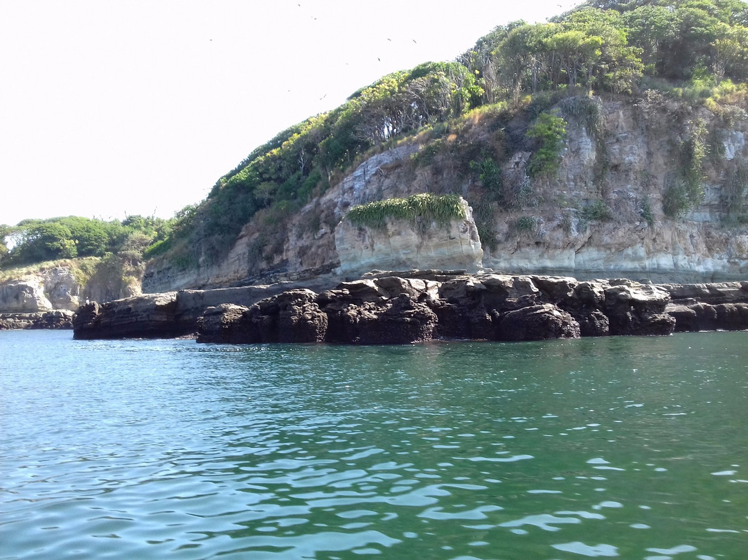 Isla Saboga旅游攻略图片