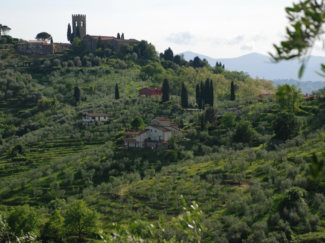 Buggiano Castello旅游攻略图片