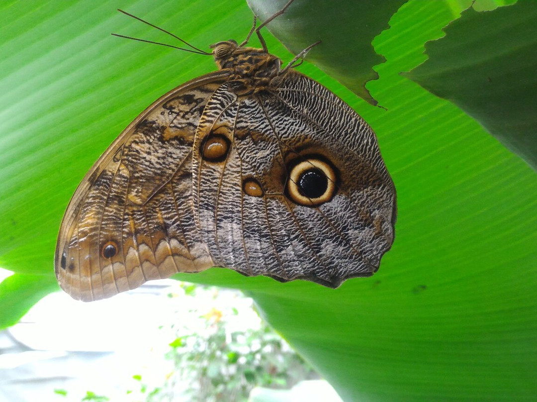 La Queue-les-Yvelines旅游攻略图片