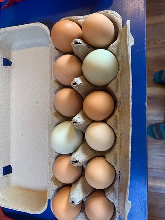 Avalanche Ranch Hot Springs-Redstone必去景点