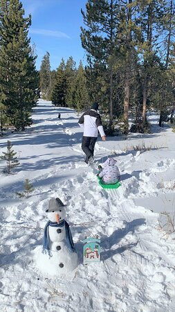 怀尔德霍斯酒店主图