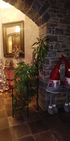 弗洛德内乌酒店主图