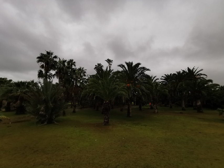 Parque de las Palmeras-梅利利亚必去景点