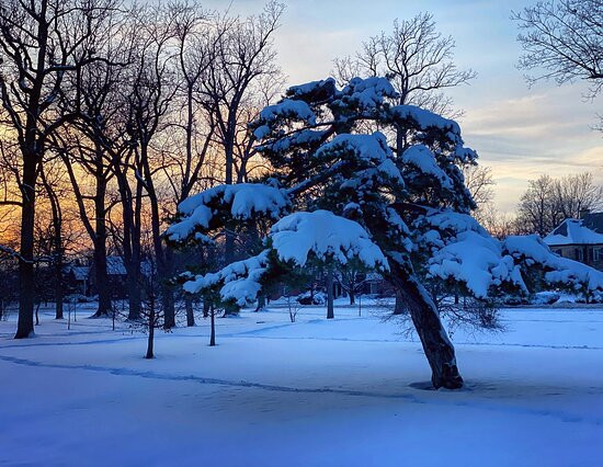 Delaware Park-水牛城必去景点