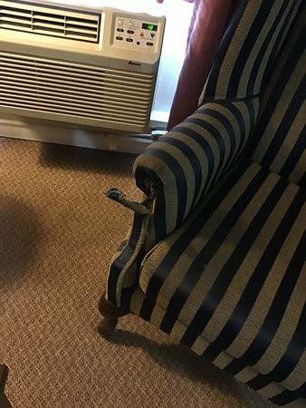 Saxony Motel & Restaurant主图