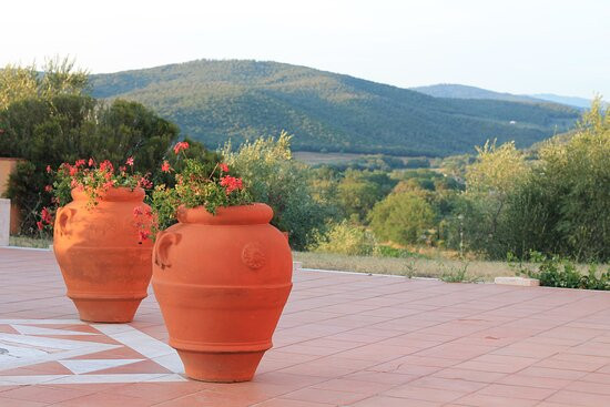 Tenuta Agricola Fraschiera主图