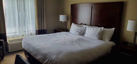 Comfort Inn & Suites Milford / Cooperstown主图