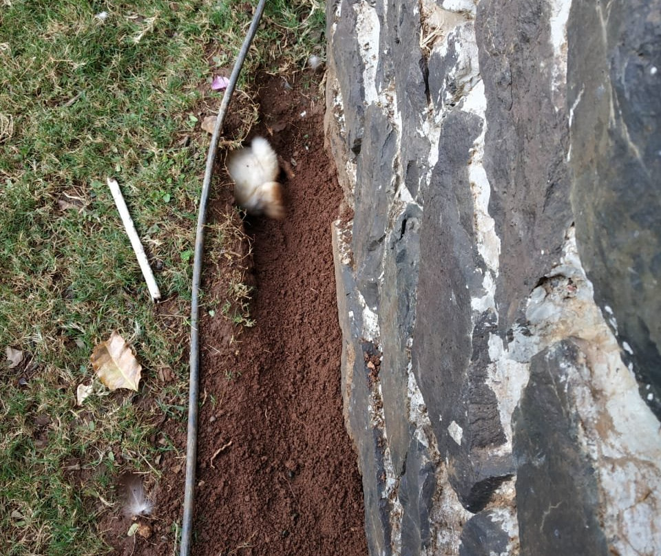 Manas Resort With Petting Zoo主图