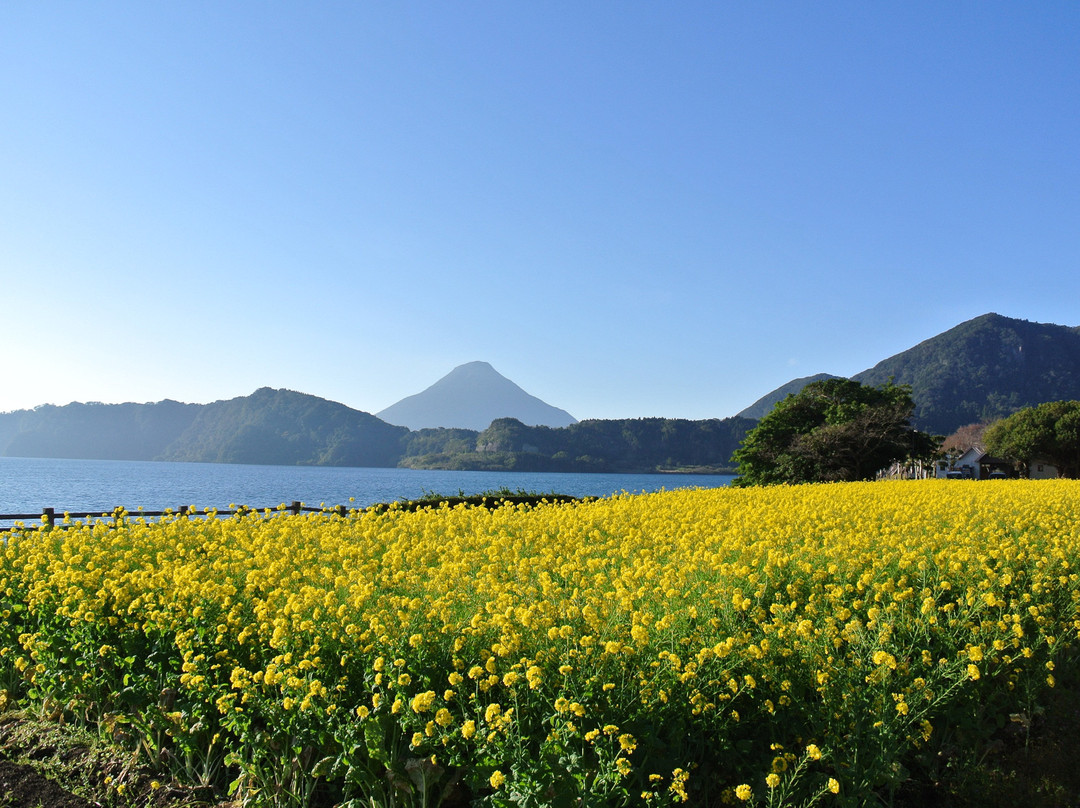 指宿市旅游景点-Lake Ikeda