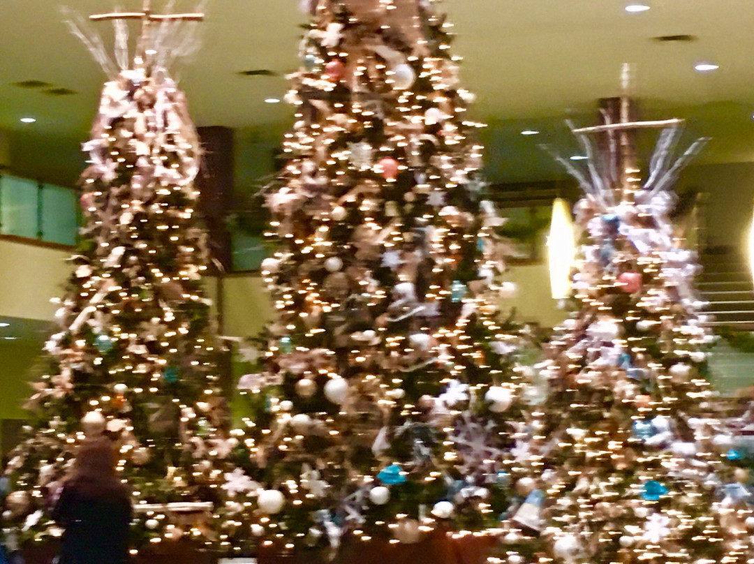 Cordova旅游攻略图片