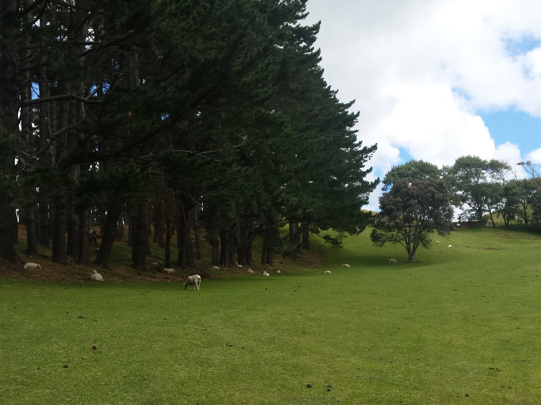 Raglan Golf Club-拉格伦必去景点