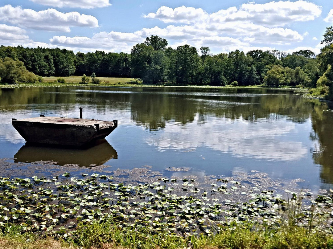 Lawrence Hopewell Trail-Pennington必去景点