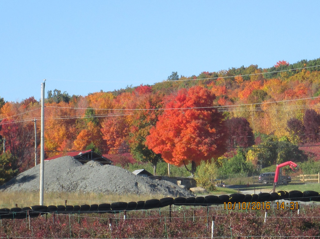 Mont-Saint-Hilaire旅游攻略图片