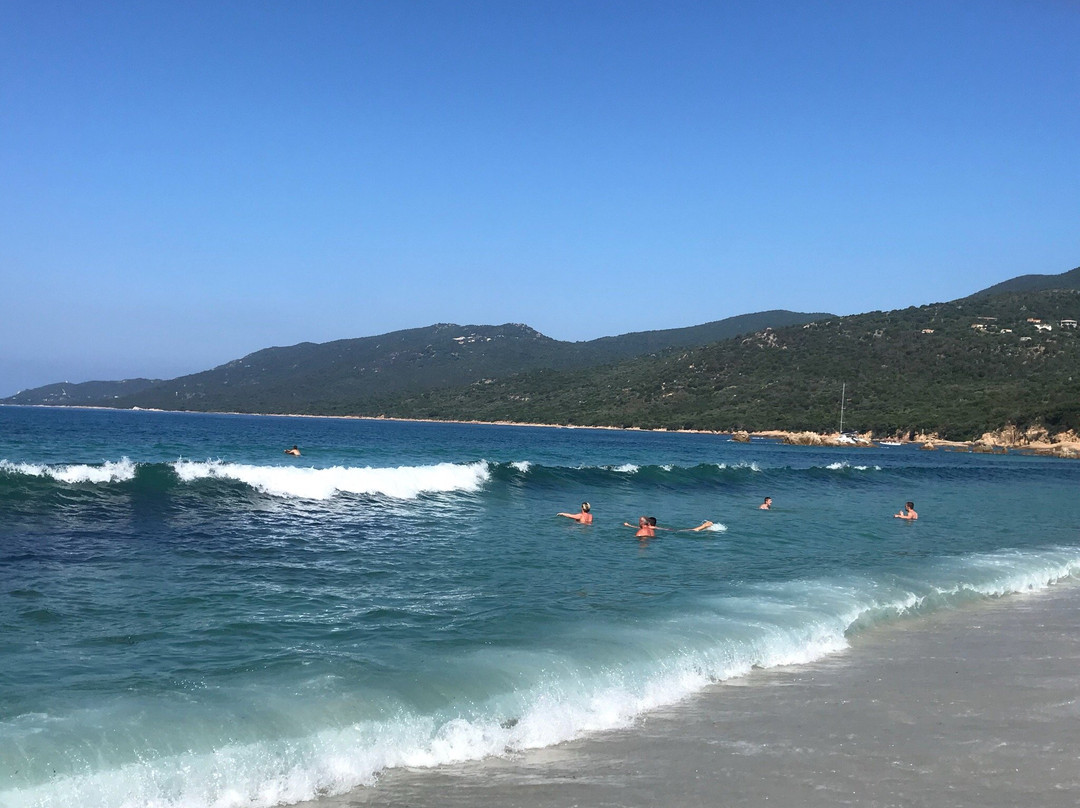 Plage de Porto Pollo