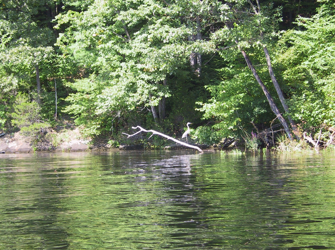 Turners Falls旅游攻略图片