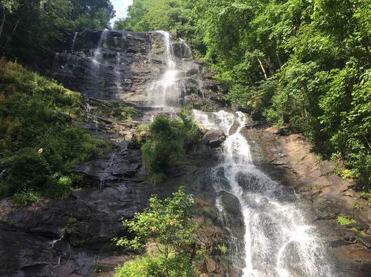 道森维尔旅游攻略图片