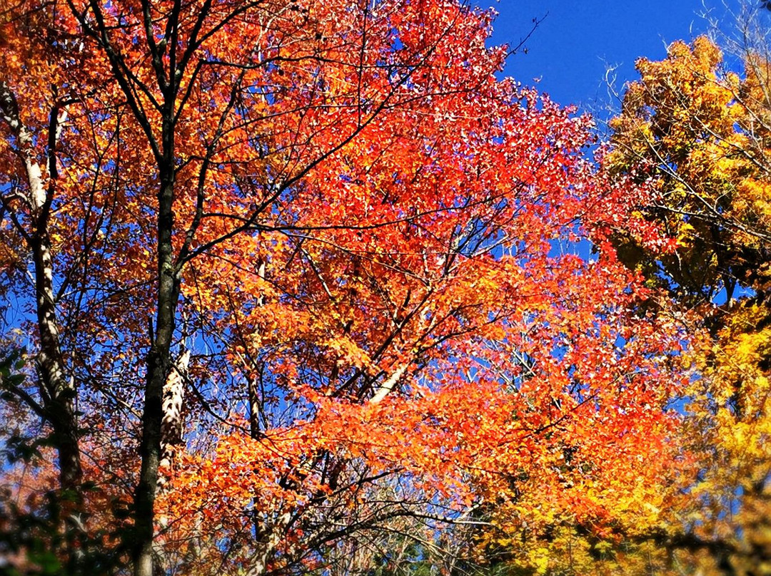 Gilbert Lake State Park-Laurens必去景点
