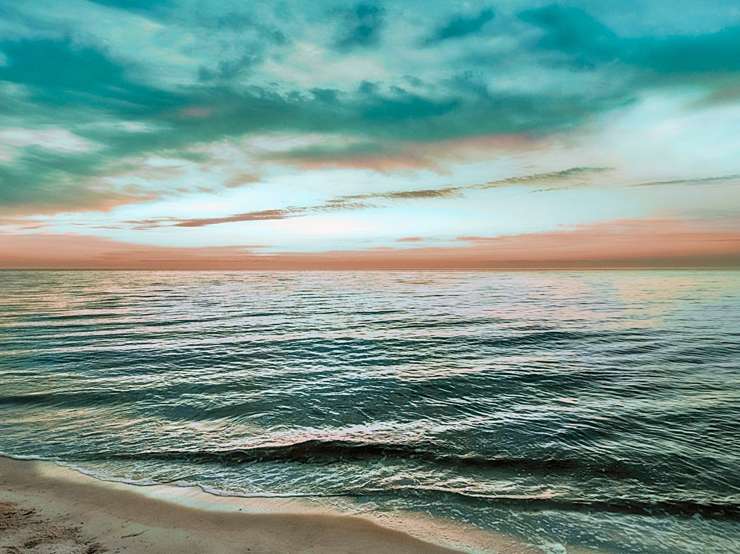 Panacea旅游攻略图片