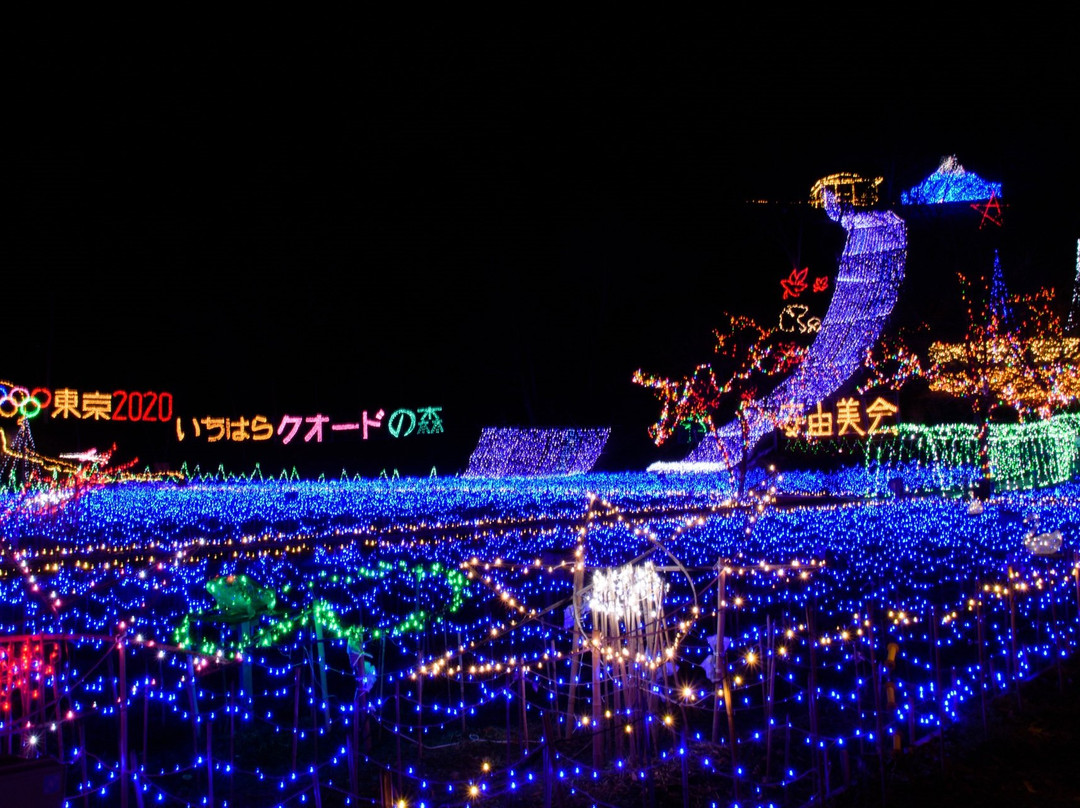 Ichihara Quard's Forest