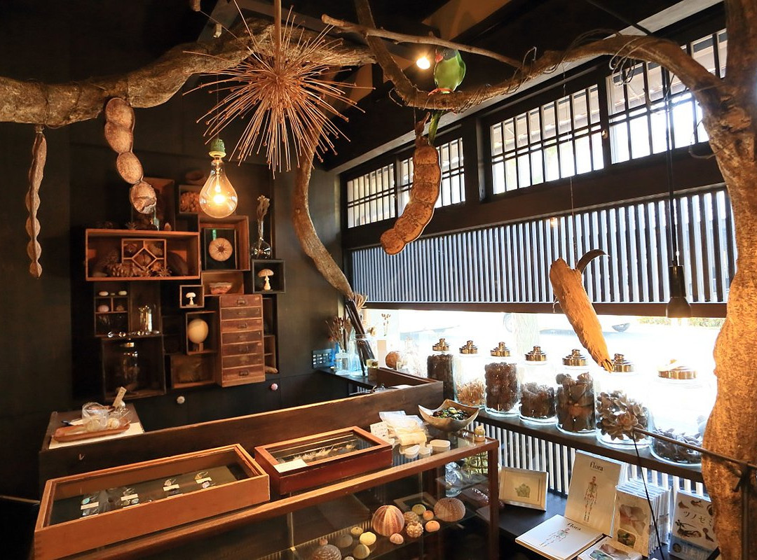 Usaginonedoko Kyoto Shop景点图片