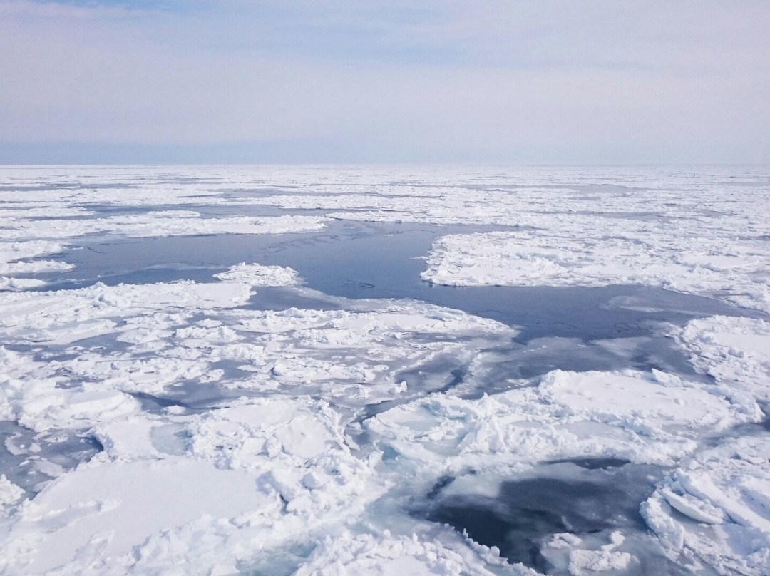 Abashiri Sightseeing Icebreaker Aurora景点图片