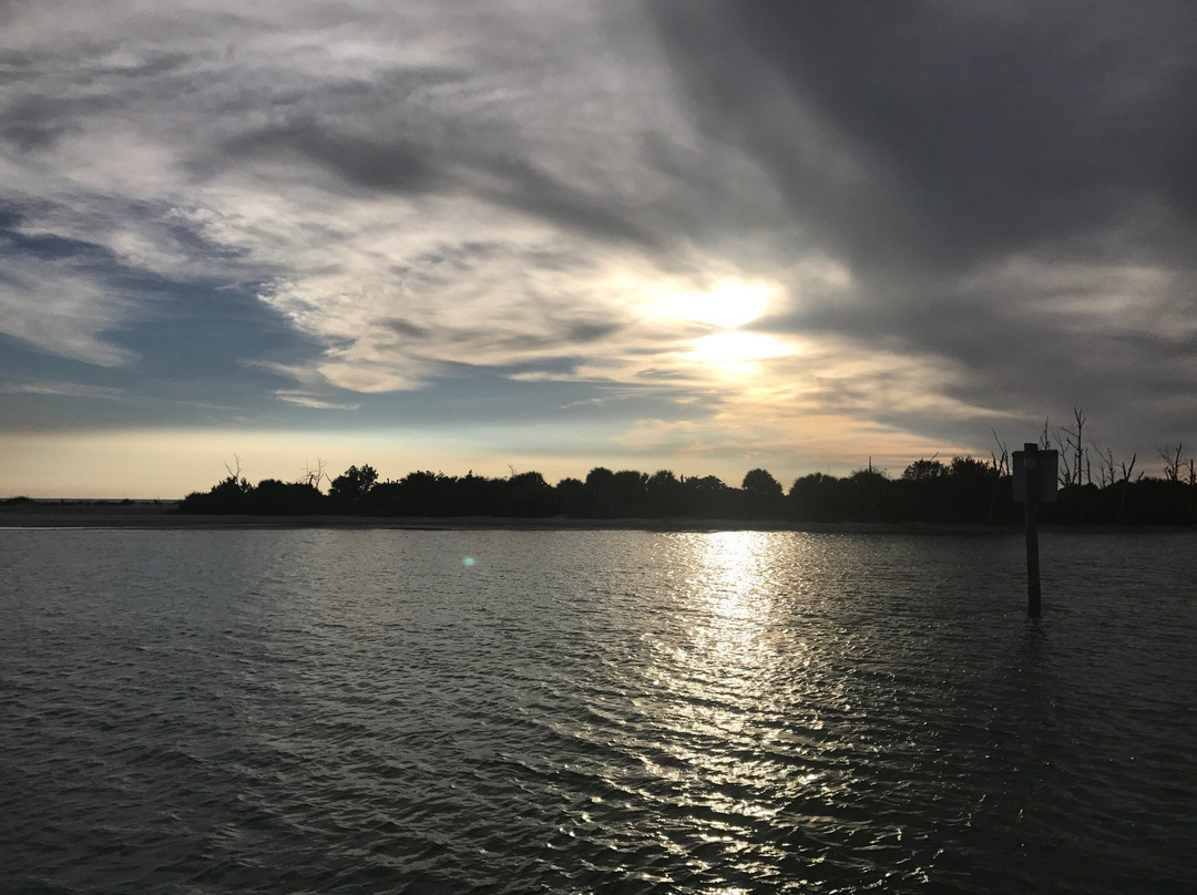 Lemon Bay Tours-恩格尔伍德必去景点