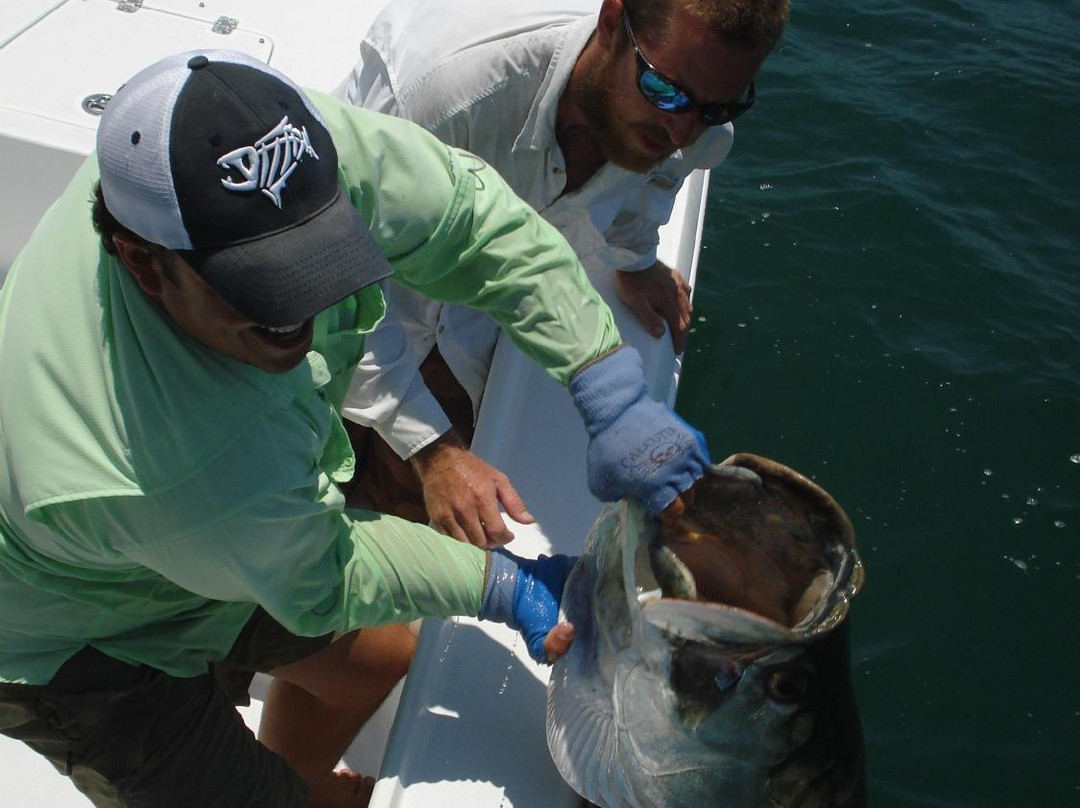 Fishing Charters with Captain Matt Santiago-Ruskin必去景点