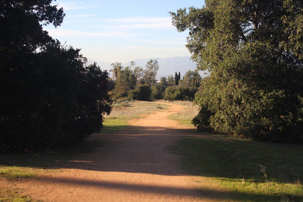 Caroline Park-雷德兰兹必去景点