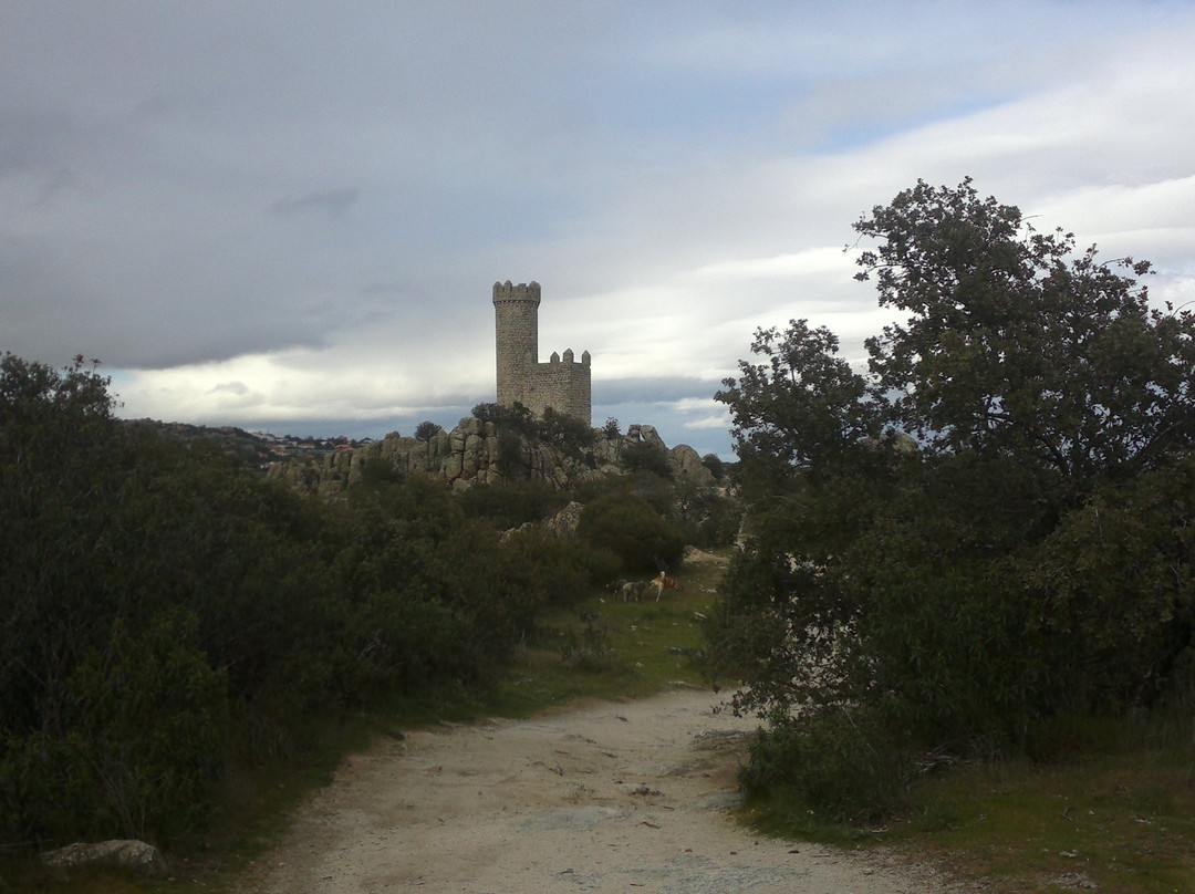 Torre de los Lodones-托雷洛多内斯必去景点