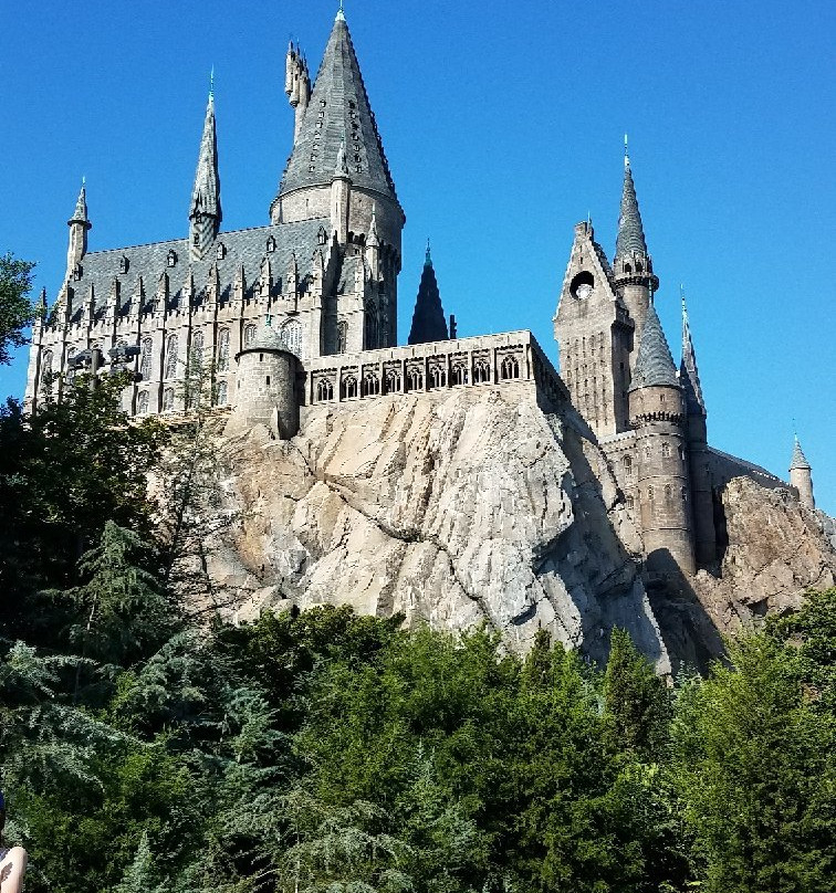 哈利波特魔法世界主题公园景点图片