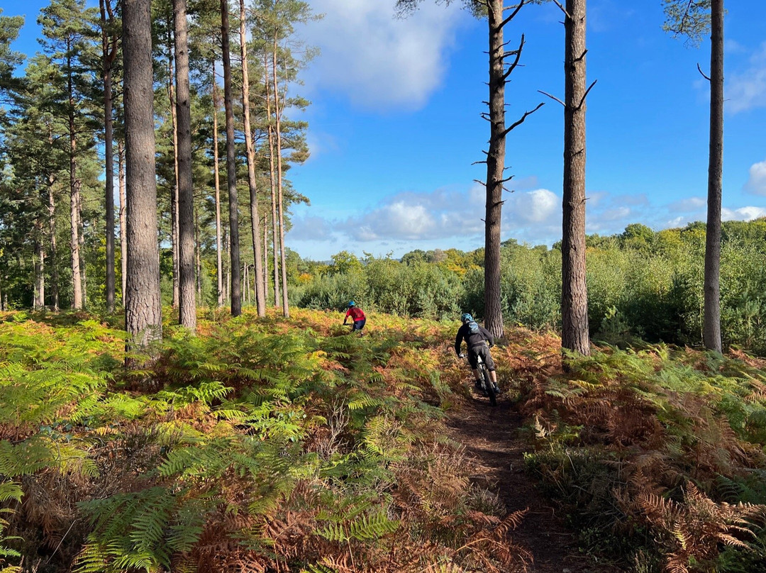 Surrey Hills Bike Rental景点图片