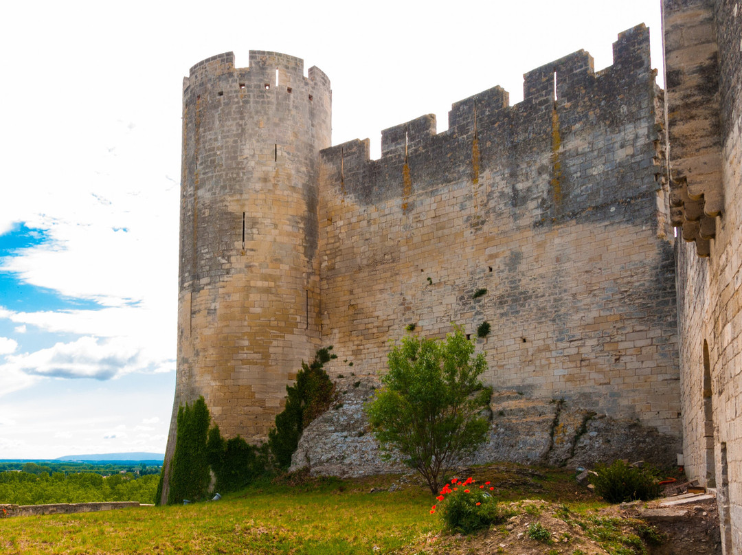 Château de Beaucaire景点图片