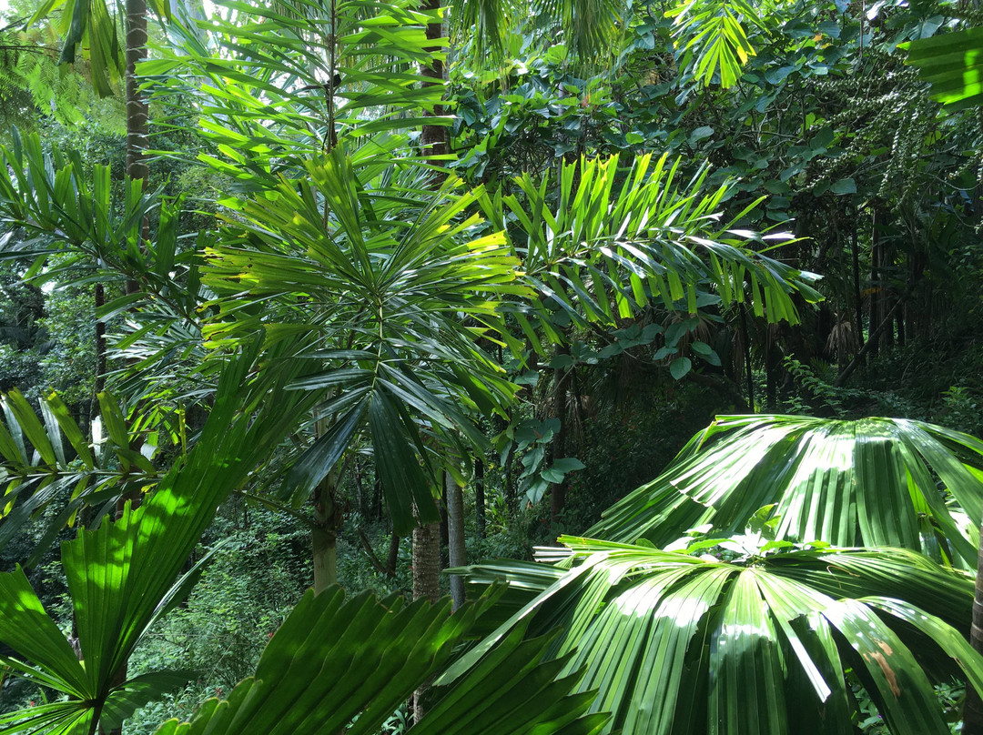 Ananda Rainforest Spa-可伦宾必去景点