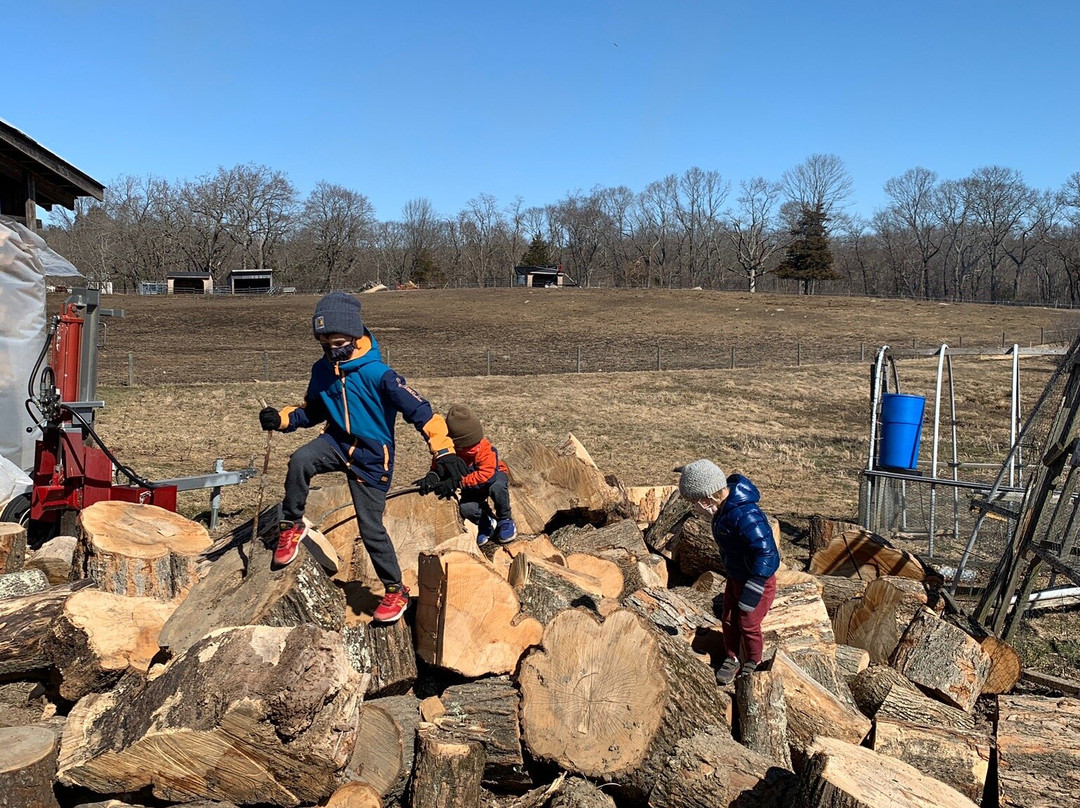 Codman Community Farms-Lincoln必去景点