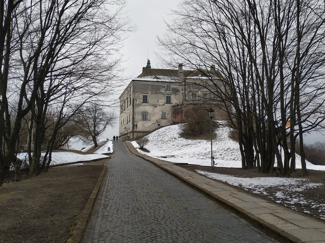 Olesko Castle景点图片