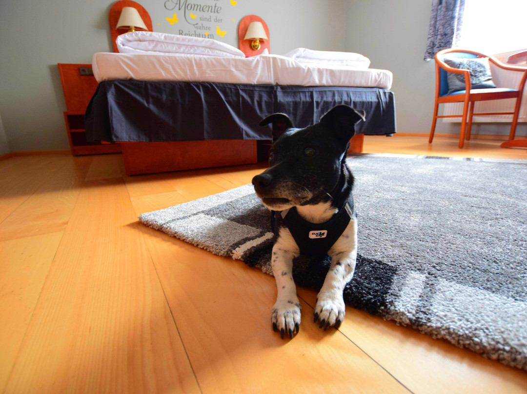 Hotel & Restaurant Deutsche Eiche主图