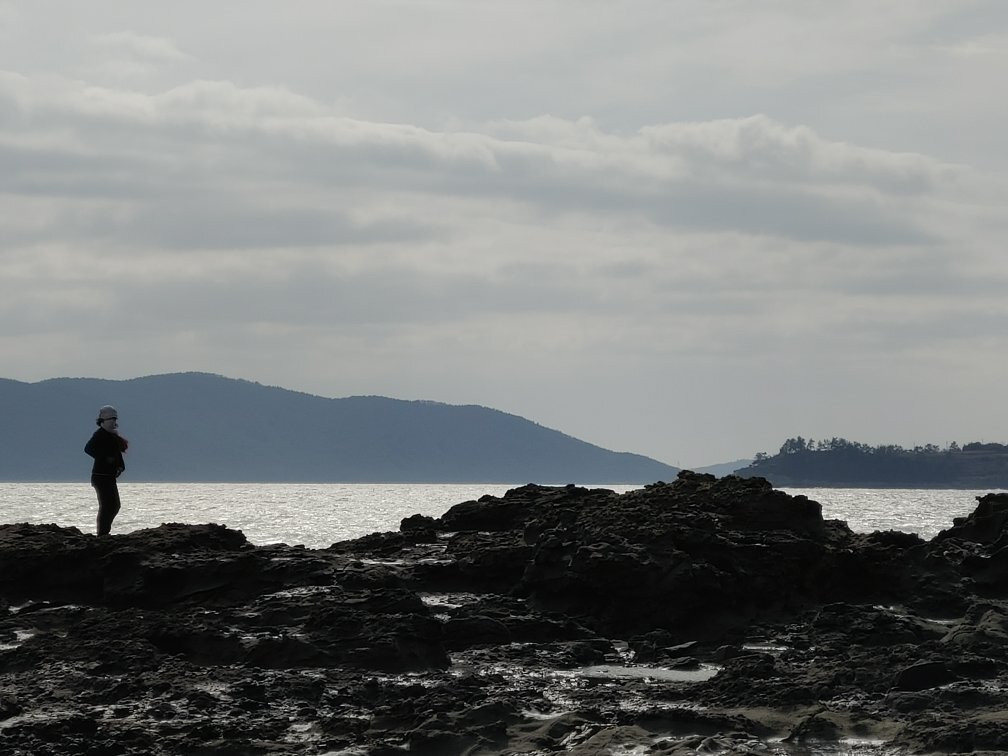 Space Launch Observatory