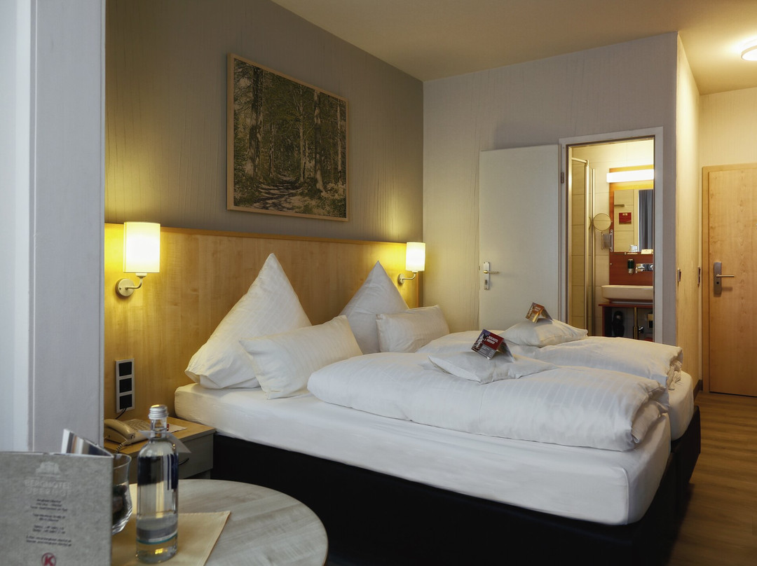 Konsum Berghotel Oberhof主图