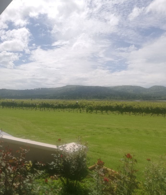 Cathedral Peak Wine Estate-温特顿必去景点