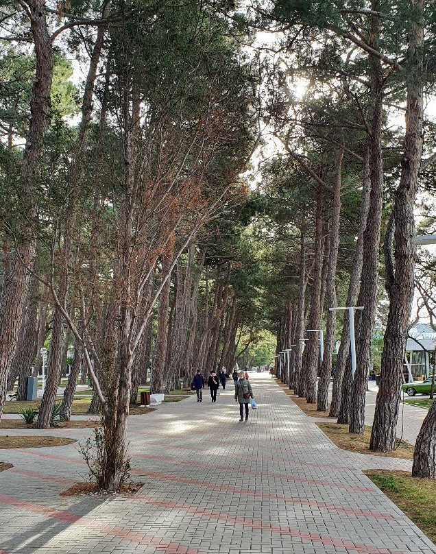 Gelendzhik Embankment-Gelendzhik必去景点