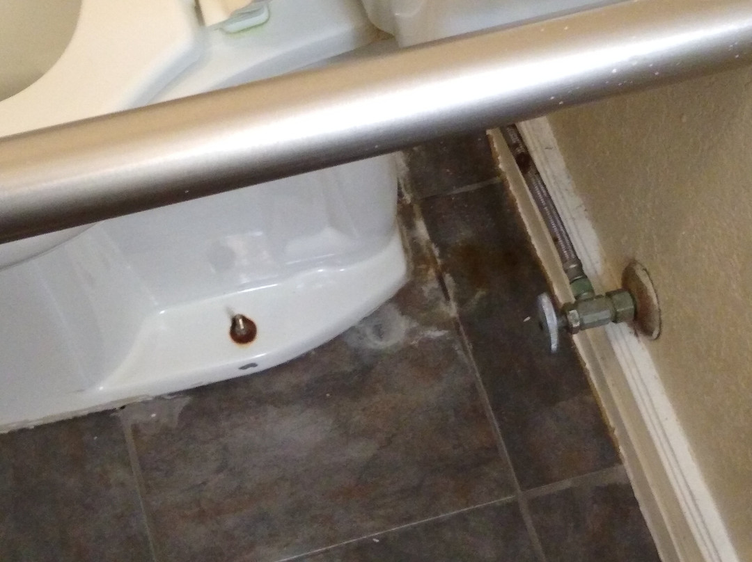 Super 8 by Wyndham Goodyear/Phoenix Area主图