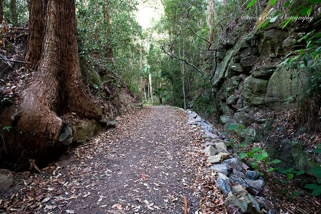 Buderim - Palmwoods Heritage Tramway景点图片