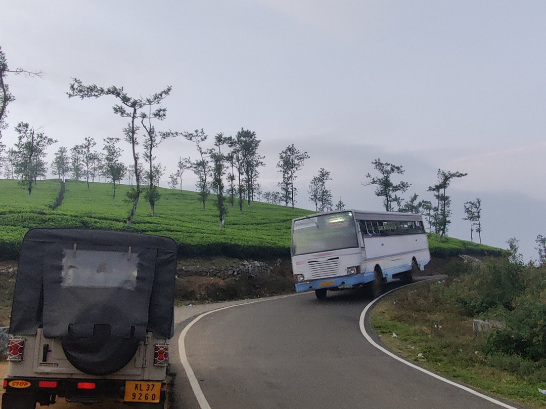 Periyar Cabs景点图片